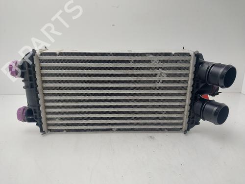 Used Intercooler Intercooler PEUGEOT 208 II (UB_, UP_, UW_, UJ_) [2019-2026] 32256259 32256259
