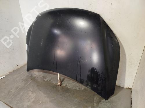 Hood VW TIGUAN (5N_)  | BP29941552C1