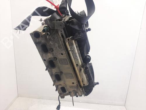 Used Cylinder head SKODA OCTAVIA II (1Z3) 1.6 TDI (105 hp) 31164567