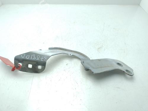 Hinge/Door check strap FORD KUGA II (DM2)  | BP30089506C146