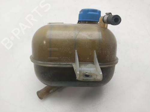 Used Expansion tank Expansion tank FIAT DOBLO Platform/Chassis (263_) 1.3 D Multijet (75 hp) 33954928 33954928