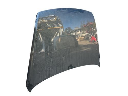 Hood VW TOUAREG (7LA, 7L6, 7L7)  | BP25895776C1 