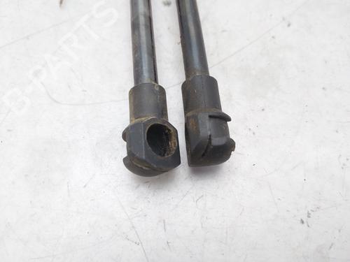 Tailgate lift support NISSAN X-TRAIL I (T30)  | BP14007731C138 