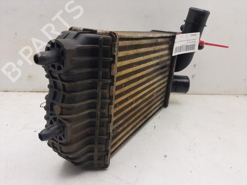 Intercooler CITROËN JUMPER I Van (244) 2.8 HDi | BP17621620M30 