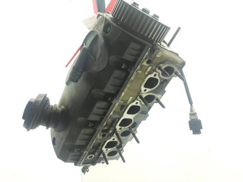 Used Cylinder head SEAT IBIZA III (6L1) [2002-2009]  30897709