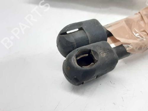 Tailgate lift support FORD FIESTA V (JH_, JD_) 1.4 TDCi | BP13995862C138 