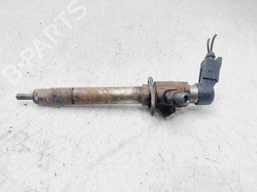 Used Injector JAGUAR XF I (X250) 2.7 D (207 hp) 29019273