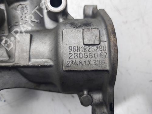 Egr FORD FOCUS C-MAX (DM2) 2.0 TDCi | BP30581387M69