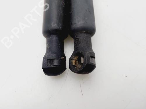 Tailgate lift support CITROËN C3 II (SC_) | BP30870495C138