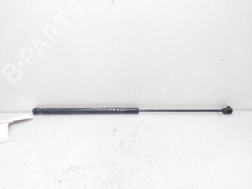 Used Hood lift support CITROËN XSARA Coupe (N0) 2.0 HDI 90 (90 hp) 14008314