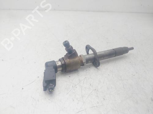 Injector LAND ROVER DISCOVERY III (L319) 2.7 TD 4x4 | BP29479795M100 