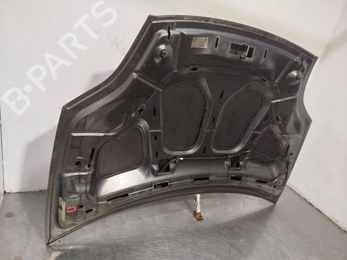 Hood FIAT BRAVO II (198_) 1.9 D Multijet (198AXB1A) | BP32345346C1 