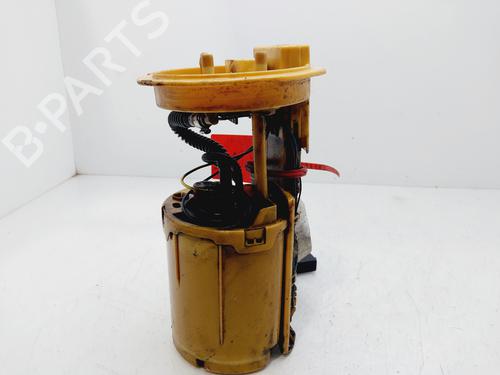 Fuel pump SEAT LEON (1P1) | BP30133516M76