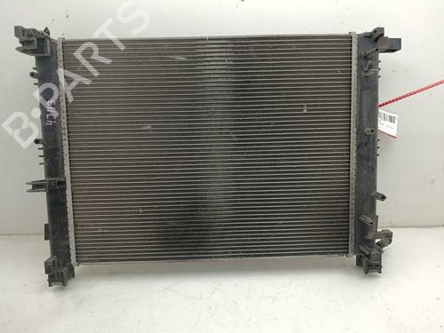 Water radiator DACIA SANDERO II | BP39909011M31 - Image 3