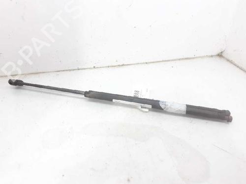 Tailgate lift support FORD FIESTA V (JH_, JD_) 1.3 | BP13996675C138 