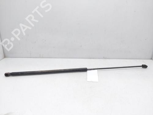 Used Hood lift support VW PASSAT B6 (3C2) 2.0 TDI (140 hp) 14009879