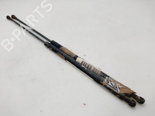Tailgate lift support CITROËN XSARA Coupe (N0) 2.0 HDI 90 | BP28092994C138 