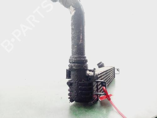 Intercooler RENAULT MEGANE III Grandtour (KZ0/1)  | BP31352439M30 