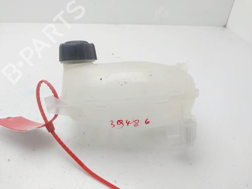 Expansion tank DACIA SANDERO III  | BP29390863C120 
