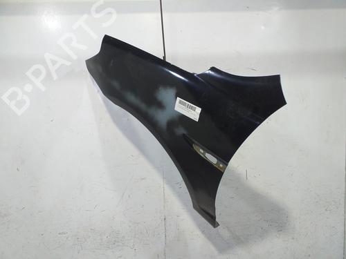 Left front fenders HYUNDAI ACCENT III (MC) 1.5 CRDi GLS | BP21209123C41 