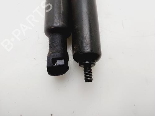 Tailgate lift support CITROËN XSARA PICASSO (N68) 1.6 HDi | BP29982161C138