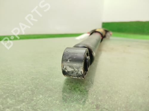Right rear shock absorber VW TIGUAN (5N_)  | BP30121170M19 