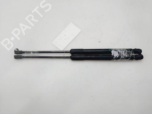 Gasdæmper bagklap RENAULT KADJAR (HA_, HL_) [2015-2026]  31316377