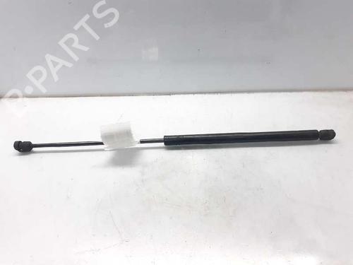 Used Hood lift support SEAT TOLEDO II (1M2) 1.9 TDI (110 hp) 13996999