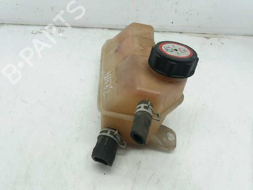 Expansion tank FORD KA (RB_) 1.3 i | BP2863031C120 