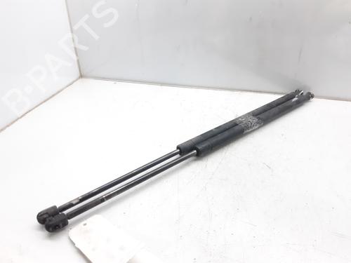 Used Tailgate lift support LAND ROVER RANGE ROVER SPORT I (L320) 2.7 D 4x4 (190 hp) 13999706