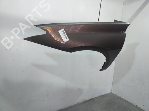 Left front fenders RENAULT LAGUNA III (BT0/1) 2.0 dCi (BT01, BT08, BT09, BT0E, BT0K, BT12, BT1C, BT1D,... | BP17946149C41 