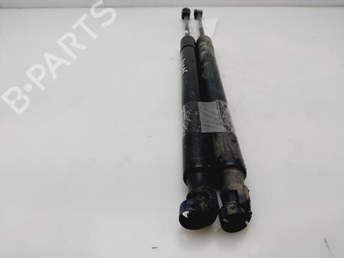 Tailgate lift support OPEL MERIVA B MPV (S10)  | BP29719298C138 