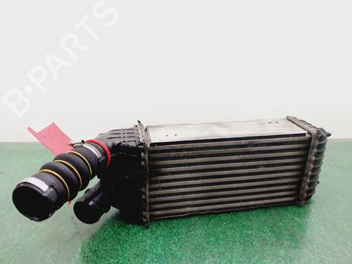 Intercooler CITROËN C4 CACTUS 1.2 THP 110 | BP29326361M30 