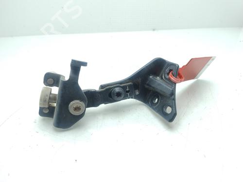 Hinge/Door check strap FIAT DUCATO Van (250_) 140 Multijet 2,3 D | BP29546736C146 