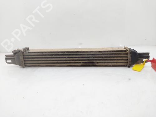 Used Intercooler CITROËN NEMO Box Body/MPV (AA_) 1.4 HDi (68 hp) 16006898