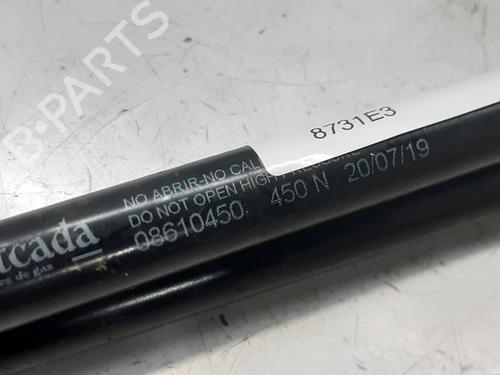 Tailgate lift support CITROËN XSARA Coupe (N0) 1.6 16V | BP14001516C138 