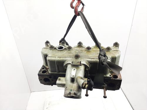 Used Cylinder head TATA SAFARI (42_FD) [1998-2025]  17900153