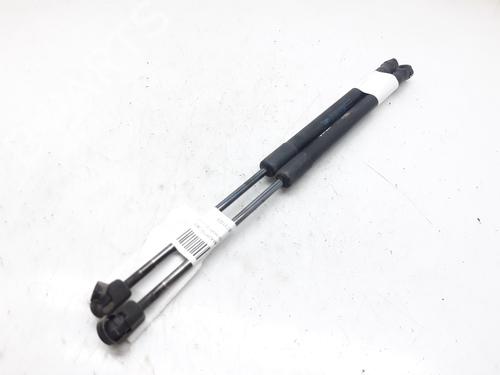 Used Tailgate lift support CITROËN C3 I (FC_, FN_) 1.1 i (60 hp) 13999391