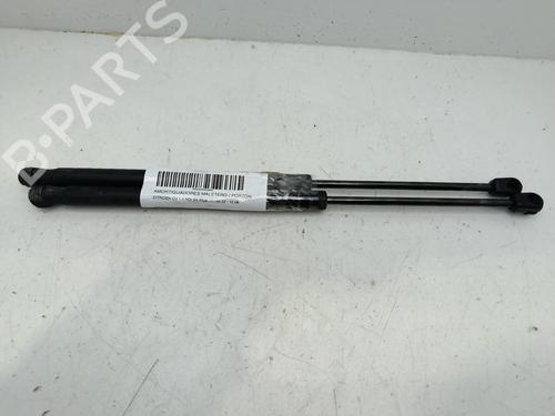 Amortecedor da mala CITROËN C3 I (FC_, FN_) 1.4 HDi (68 hp) 31143167