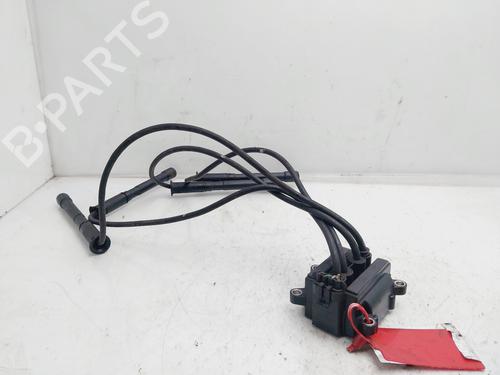 Used Ignition coil RENAULT CLIO II (BB_, CB_) 1.2 16V (BB05, BB0W, BB11, BB27, BB2T, BB2U, BB2V, CB05,... (75 hp) 21010084
