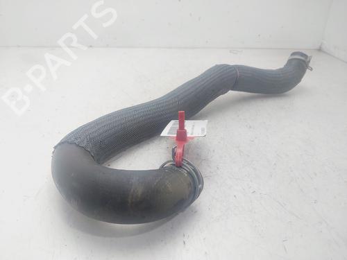 Pipe RENAULT AUSTRAL  | BP29600539M125 