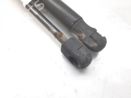 Tailgate lift support RENAULT SCÉNIC II (JM0/1_) 1.9 dCi (JM14) | BP14003891C138 