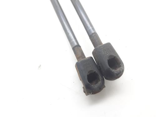 Tailgate lift support MERCEDES-BENZ M-CLASS (W163) ML 270 CDI (163.113) | BP17899997C138 