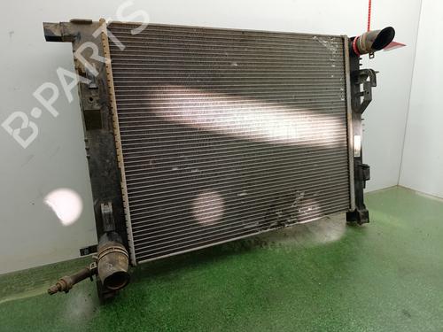 Water radiator DACIA SANDERO II | BP39595617M31 - Image 2