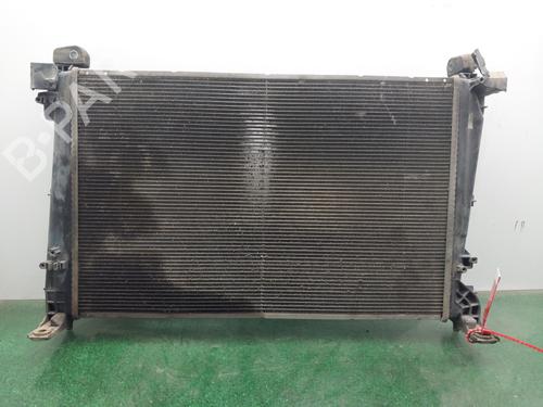 Wasserkühler für FIAT BRAVO II (198_) [2006-2016]  29326354