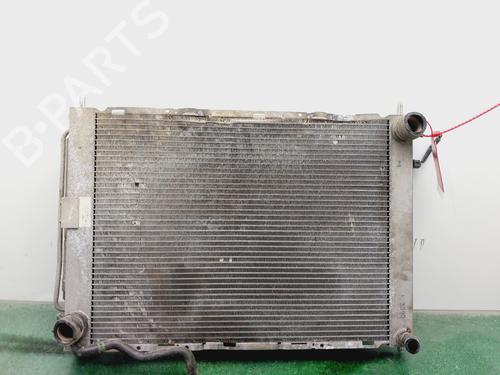 Køler RENAULT CLIO III (BR0/1, CR0/1) [2005-2014]  29066539