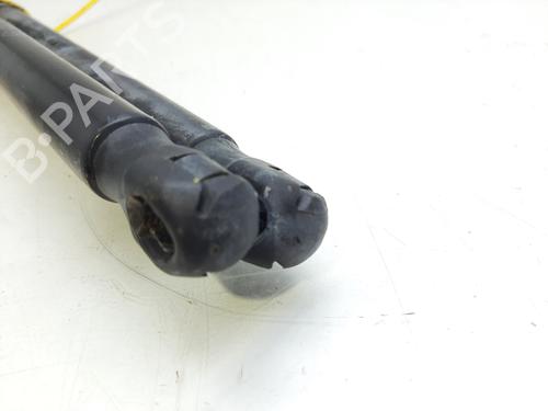 Tailgate lift support RENAULT MEGANE III Grandtour (KZ0/1)  | BP18198456C138