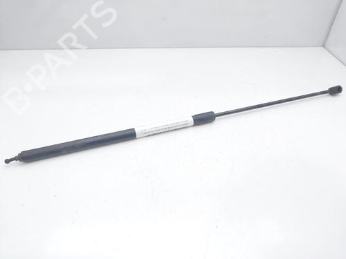 Used Hood lift support RENAULT MEGANE III Hatchback (BZ0/1_, B3_) 1.5 dCi (BZ09, BZ0D, BZ1W, BZ29, BZ14) (110 hp) 14008109