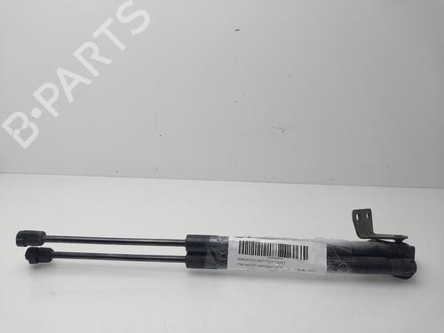 hood-lift-support-chevrolet-captiva-c100-c140-2006-34509732 main image