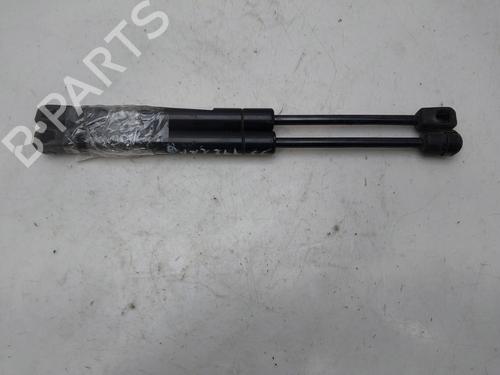 Hood lift support LAND ROVER FREELANDER 2 (L359) 2.2 TD4 4x4 | BP16731953C139 